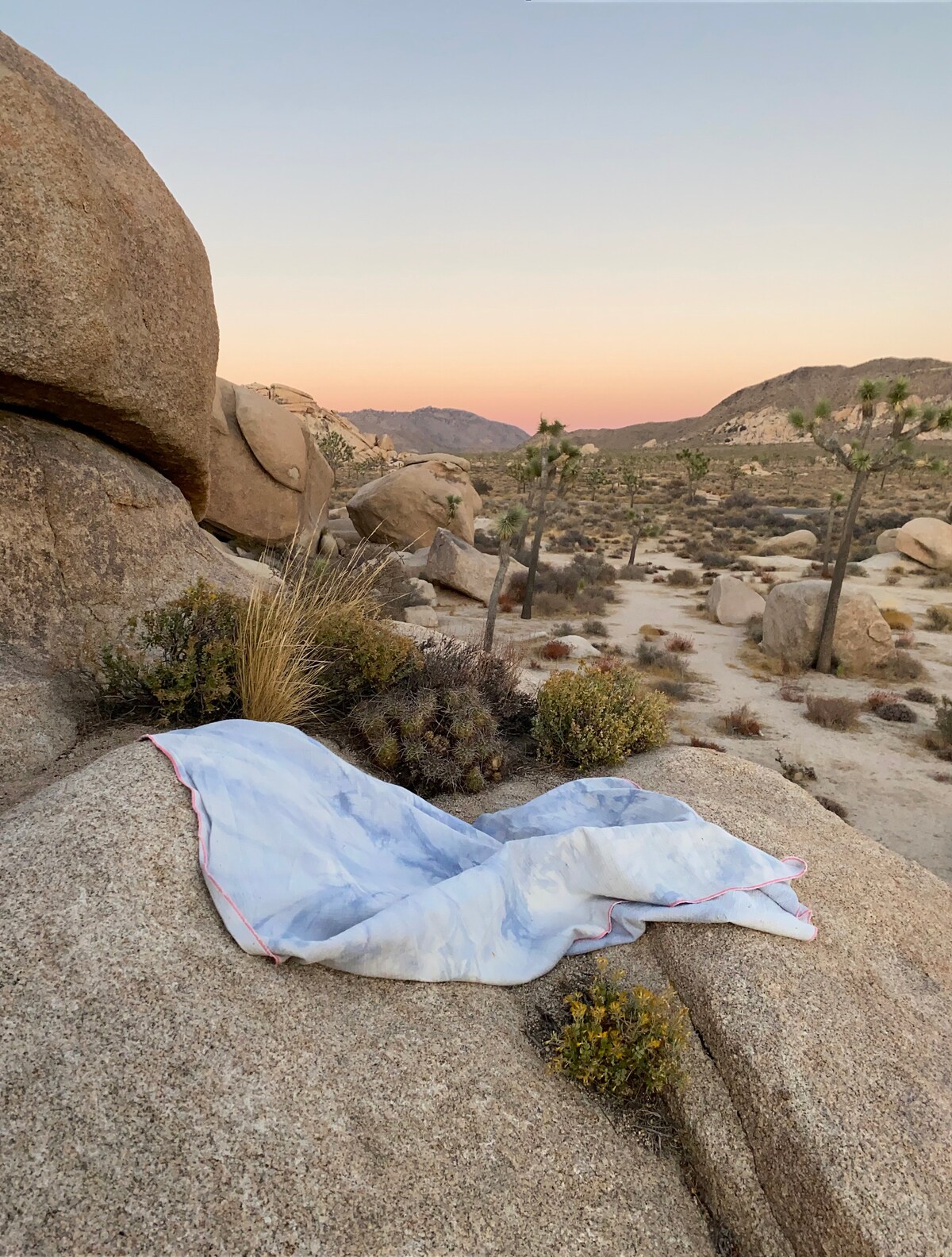Experience reiki’s healing power in Joshua Tree