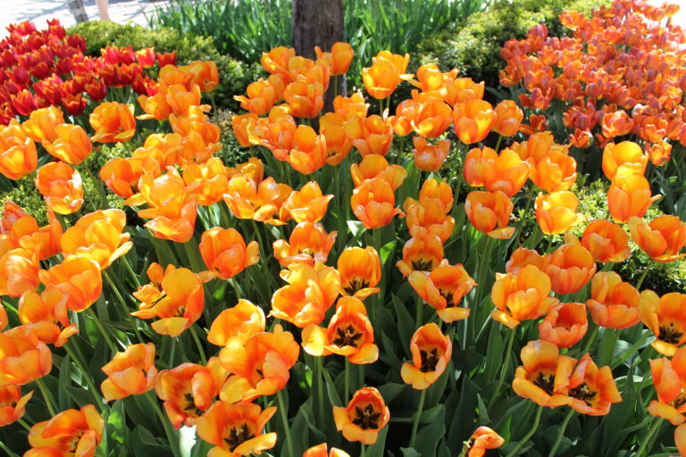 Distance Energy Work